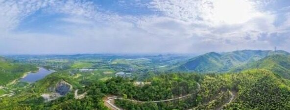 麻豆经济传媒app-麻豆经济，驾驭数字时代的传媒新航路
